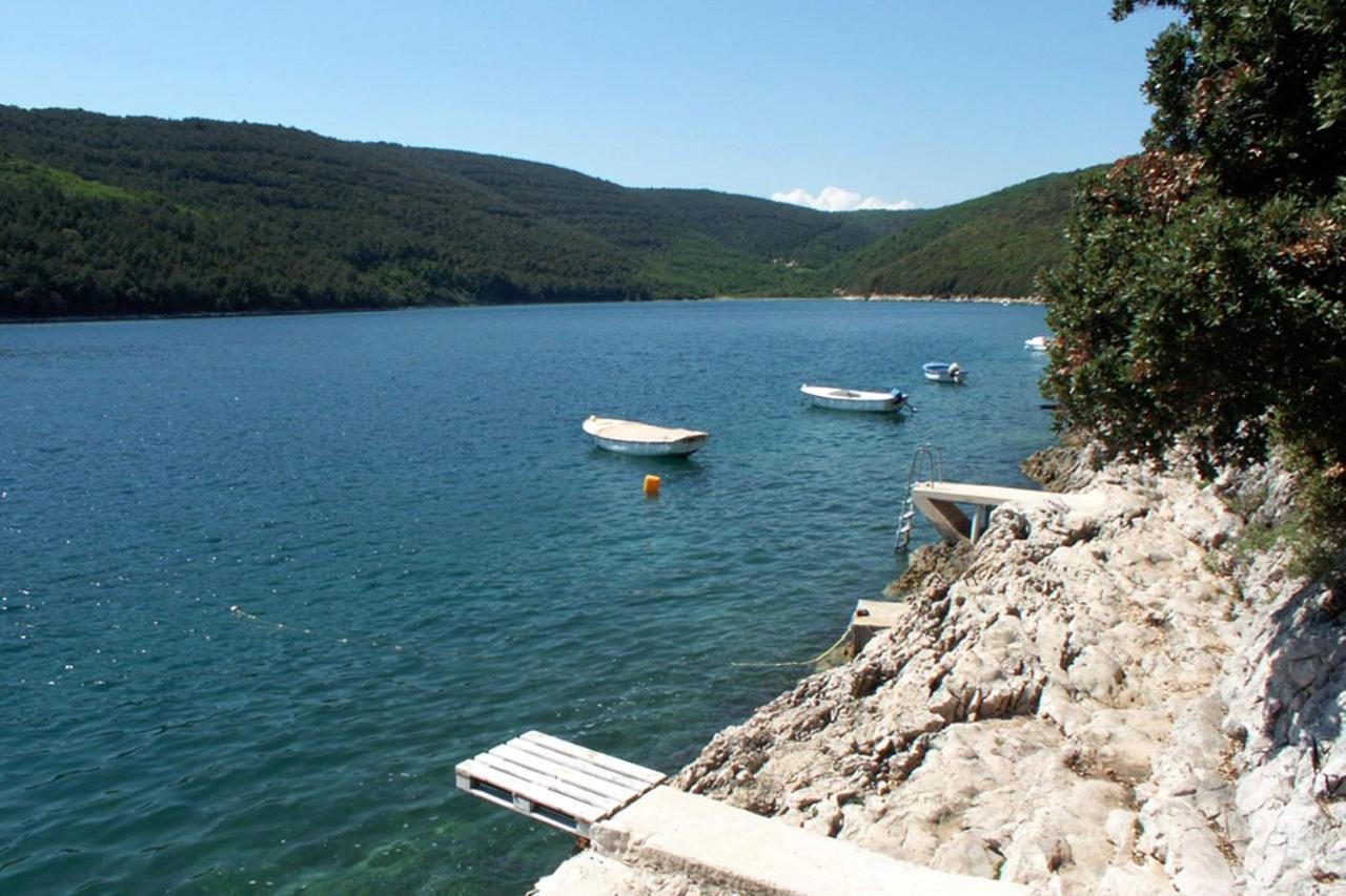 Apartments By The Sea Duga Luka - Prtlog, Labin - 2335 Екстер'єр фото